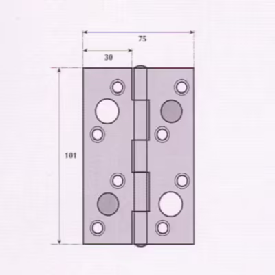 Security Hinge - G9523