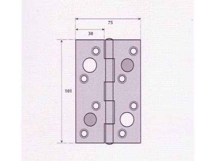 Security Hinge - G9523