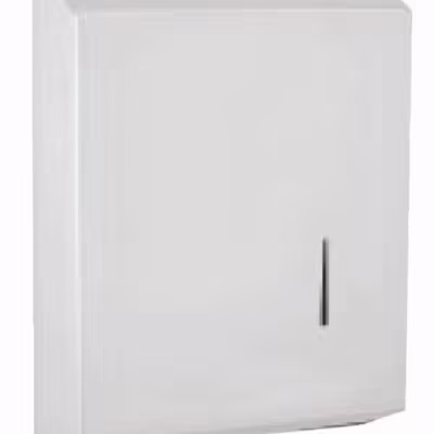 Paper towel dispenser