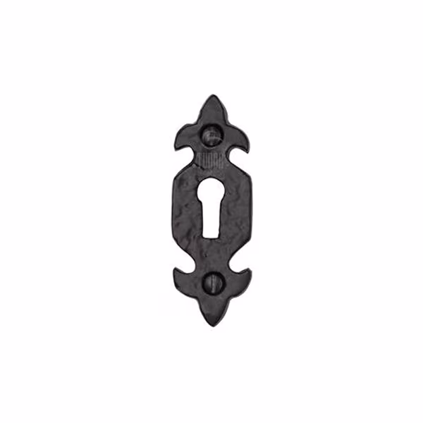 Tudor Key Escutcheon Fleur de Lys Black Iron