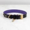 BusterPunch_Dog_Collar_Brass_Large_Front-1380×1380