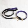BusterPunch_Dog_Collar_Lead_Brass_Large-scaled