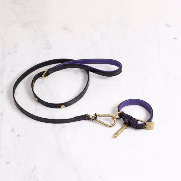 DOG COLLAR + DOG LEAD