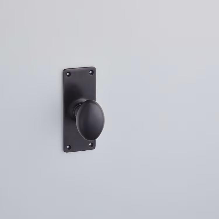 Oval Knob On School Board Backplate