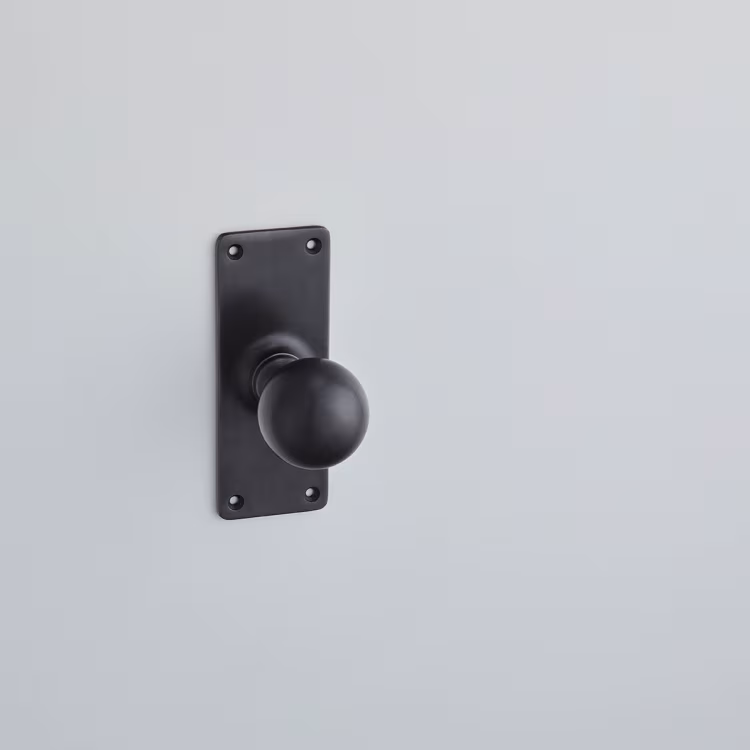Ball Knob On School Board Backplate