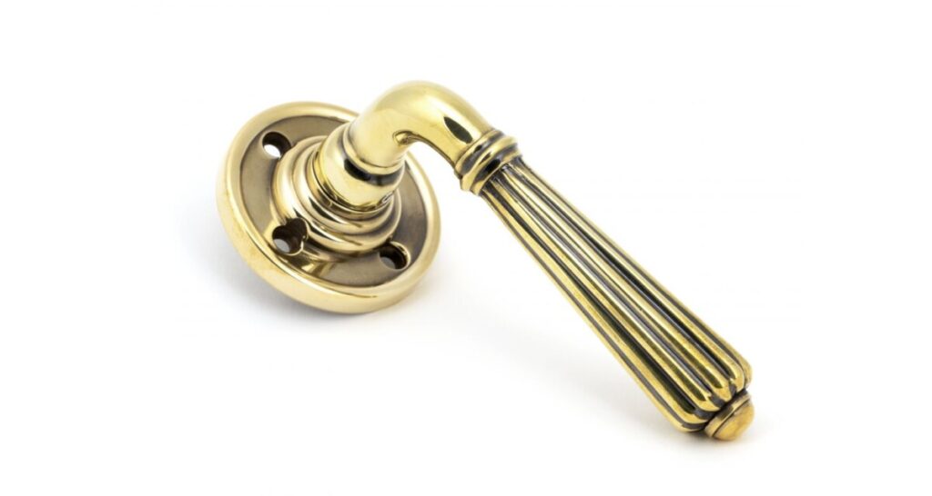 50081_main