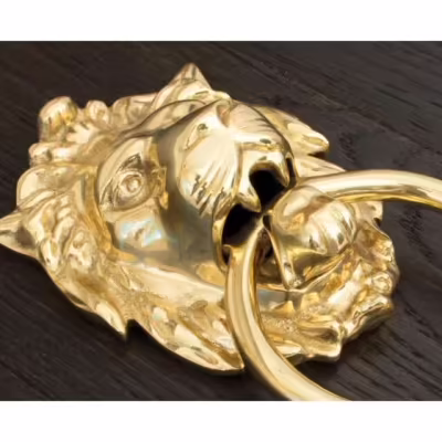 Polished Brass Lion Head Door Knocker - Image 5