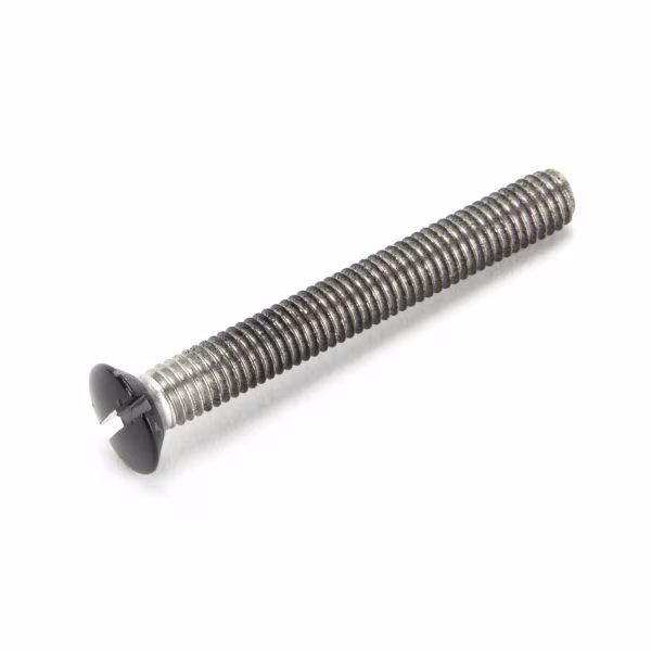 Black SS M5 x 40mm Male Screw (1)