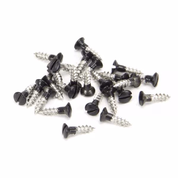 Black SS 3.0 x 12 Csk R/Head Screws (25)
