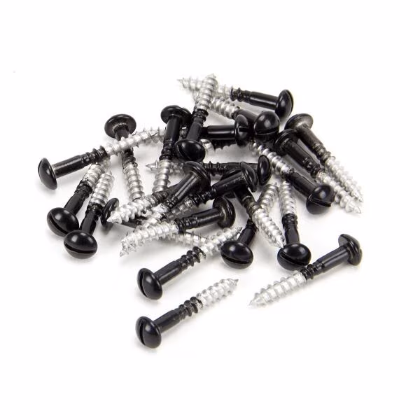 Black SS 3.5 x 25 Roundhead Screws (25)