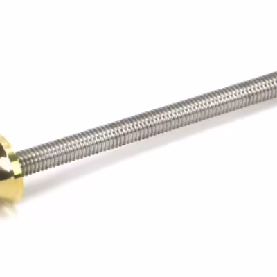 Polished Brass ended SS M6 110mm Threaded Bar