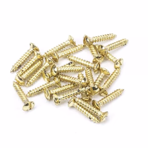 Polished Brass SS 6x¾" Countersunk Raised Head Screws (25)