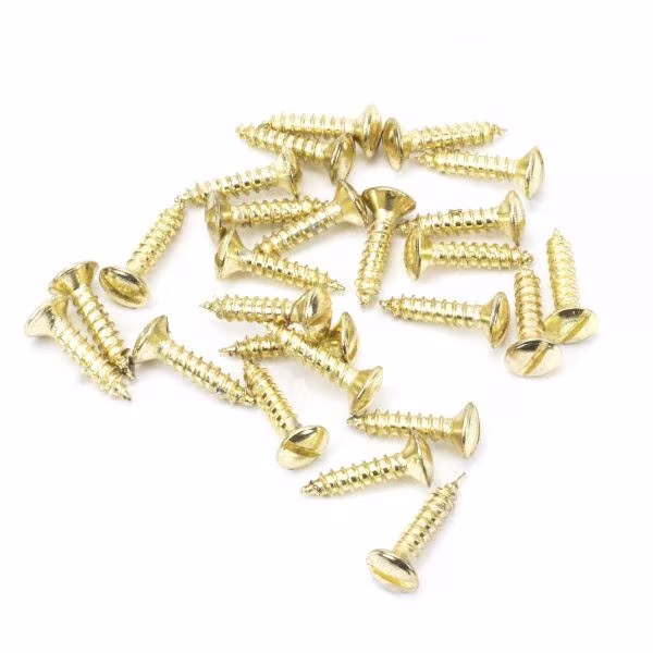 Polished Brass SS 8x¾" Countersunk Raised Head Screws (25)