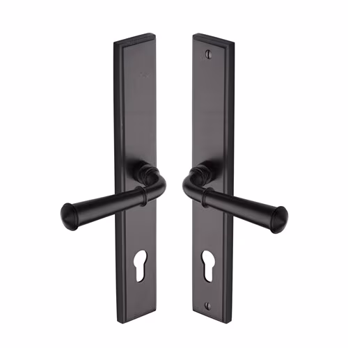 Colonial LH Door Handle on Plate