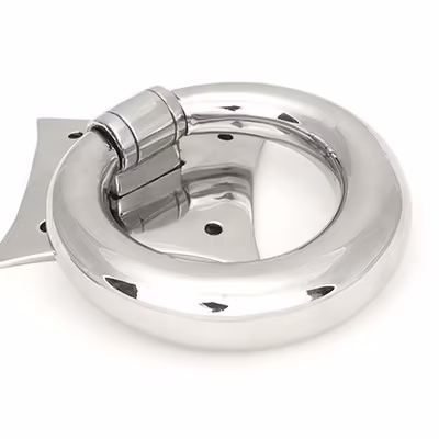 Polished Marine SS (316) Ring Door Knocker