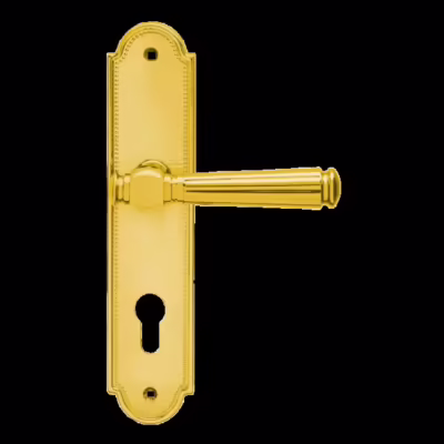 Schontal L260 PZ072 78 - Euro profile cylinder