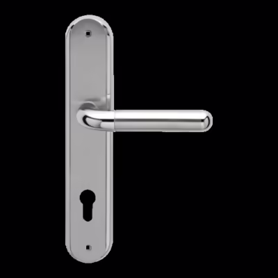 RL35 PZ092 65 - Euro profile cylinder