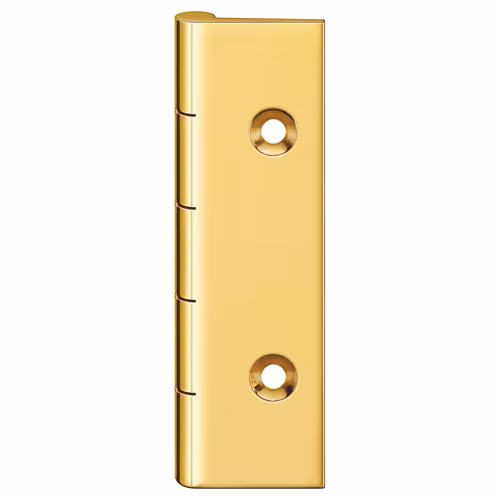 Unwashered Dummy Hinge 0690