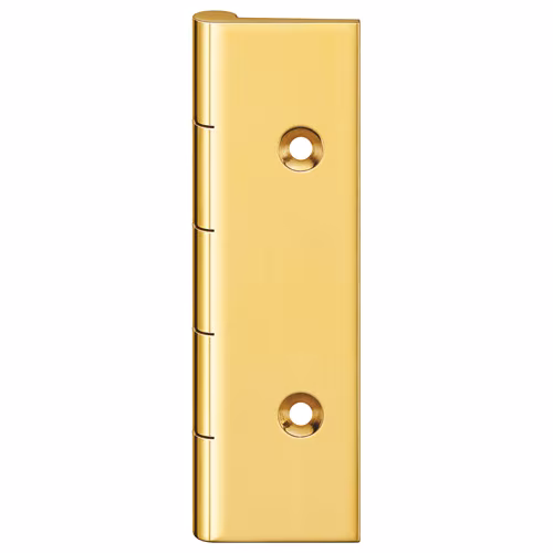 Unwashered Dummy Hinge 0790