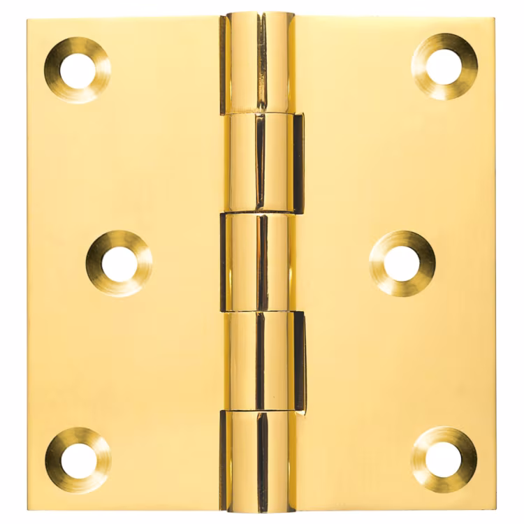 Unwashered Projection Hinge P1025