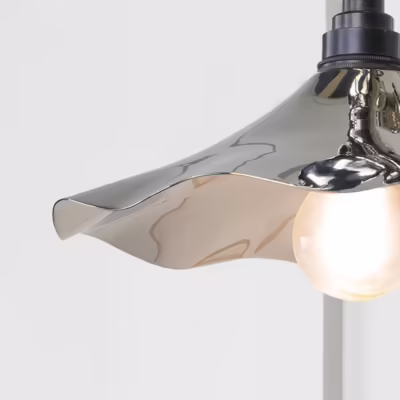 Smooth Nickel Flora Wall Light - Image 4