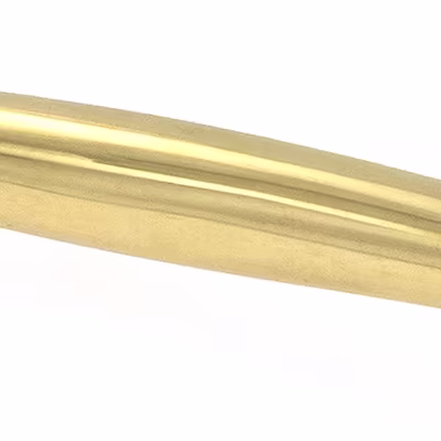 Polished Brass Moore Pull Handle - Small - Image 4