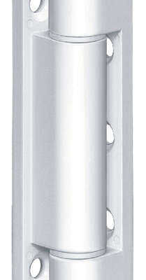 K 3281 WF SS security pin